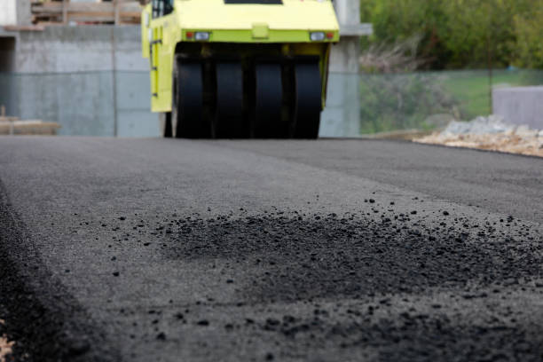 Best Driveway Paving Contractor  in Cayce, SC